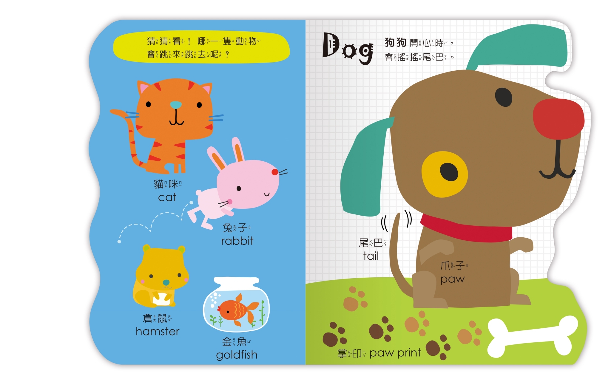 Amazing!變形動物認知書
